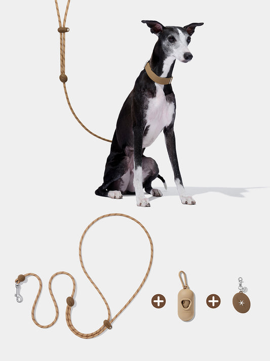 Connect Premium Classic Rope Leash Walk Kit - Coffee