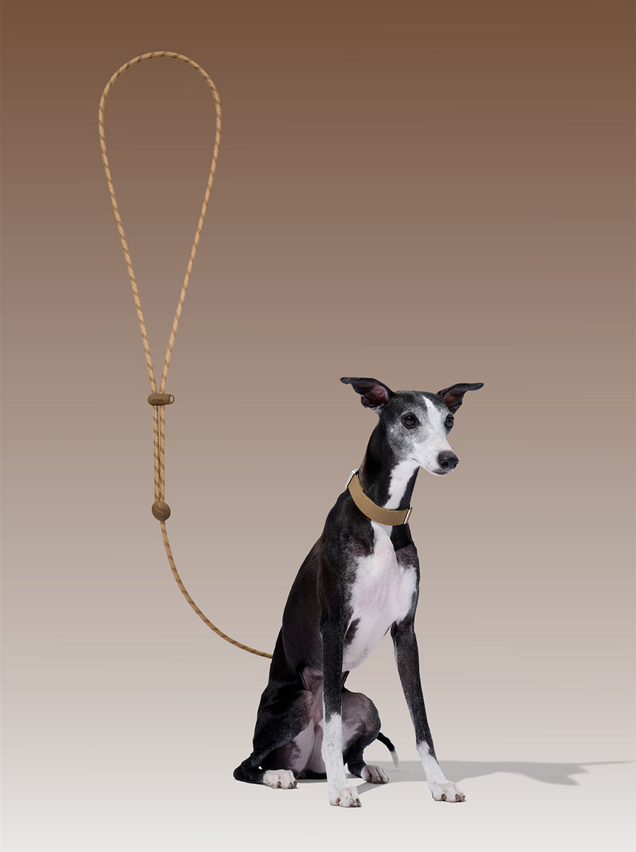 Connect Premium Classic Rope Leash Walk Kit - Coffee