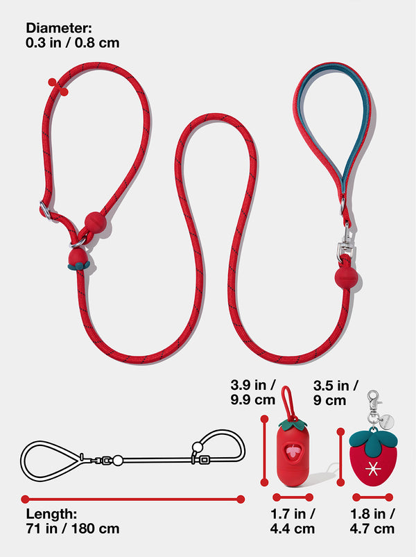 Connect Lite Walk Kit - Strawberry