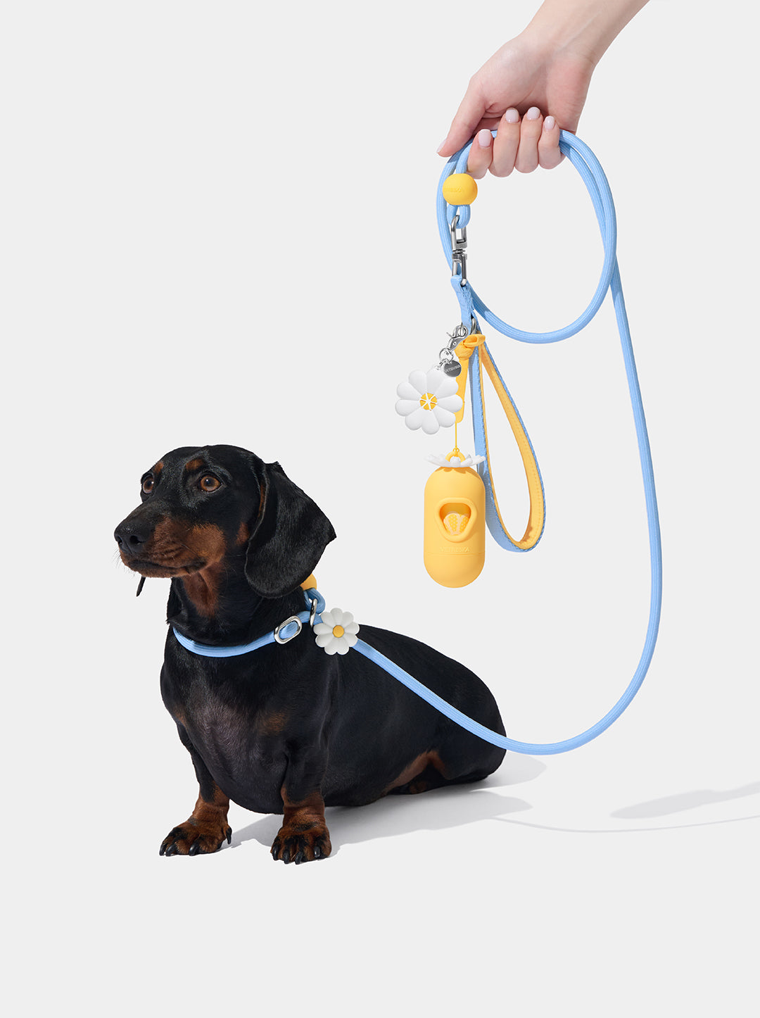 Connect Lite Walk Kit - Daisy