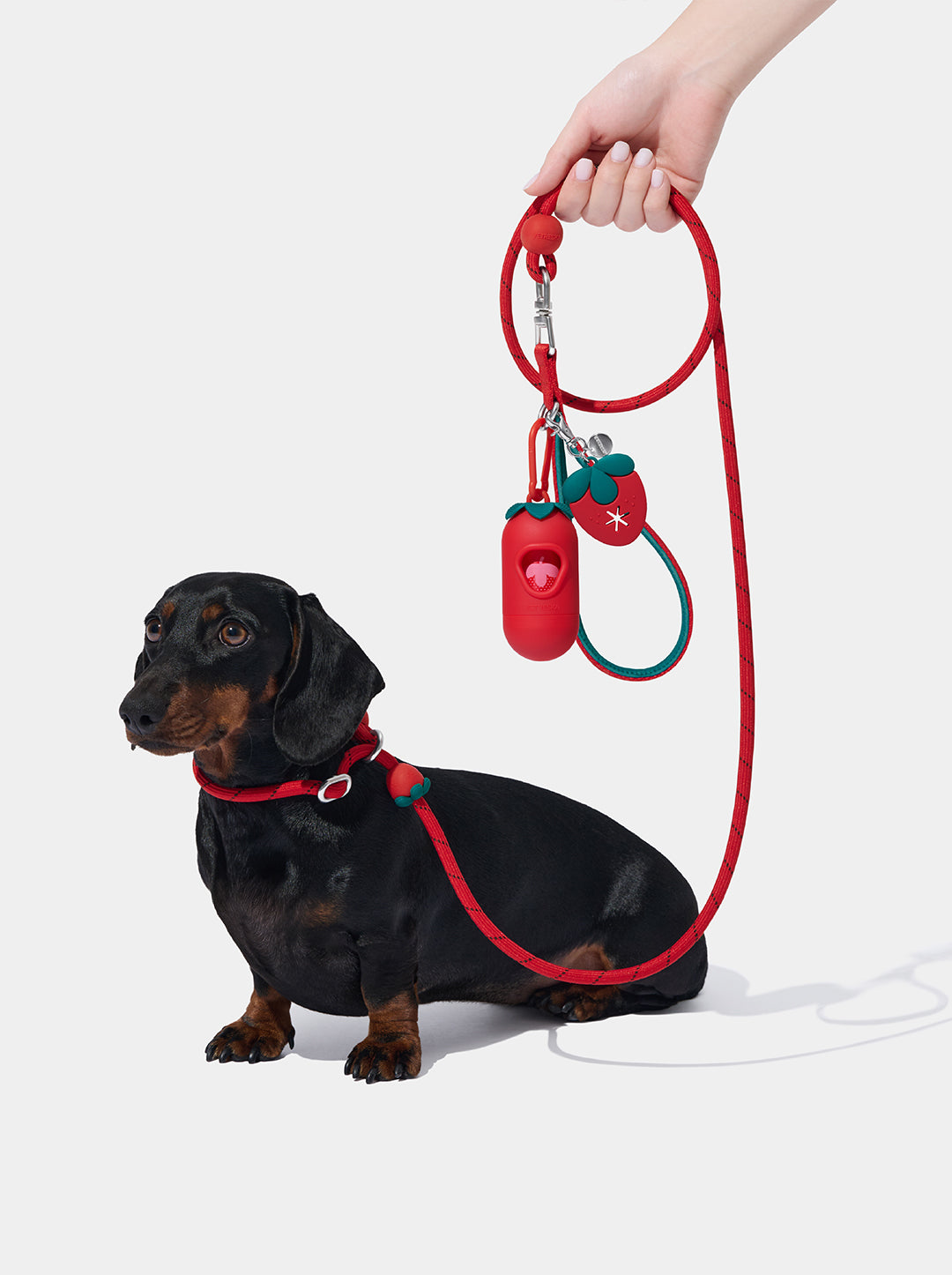 Connect Lite Walk Kit - Strawberry