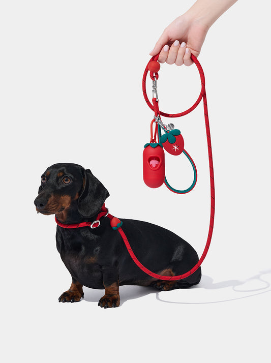 Connect Lite Walk Kit - Strawberry