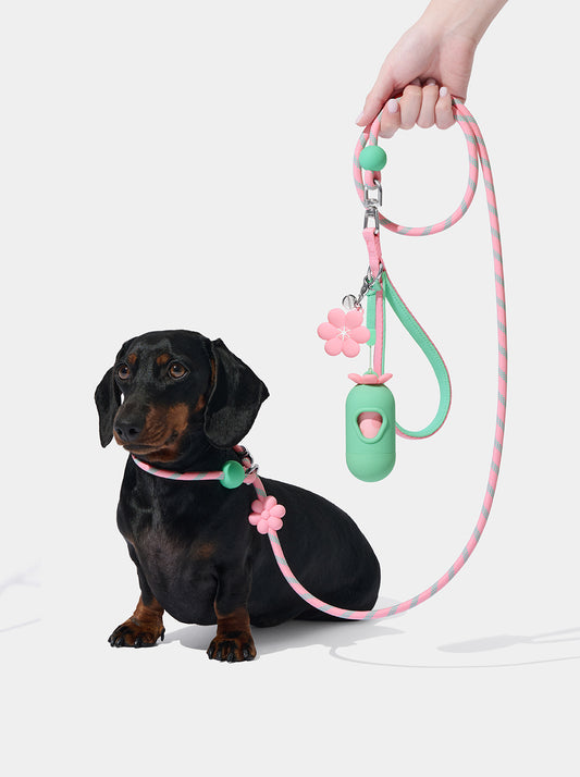 Connect Lite Walk Kit - Flora