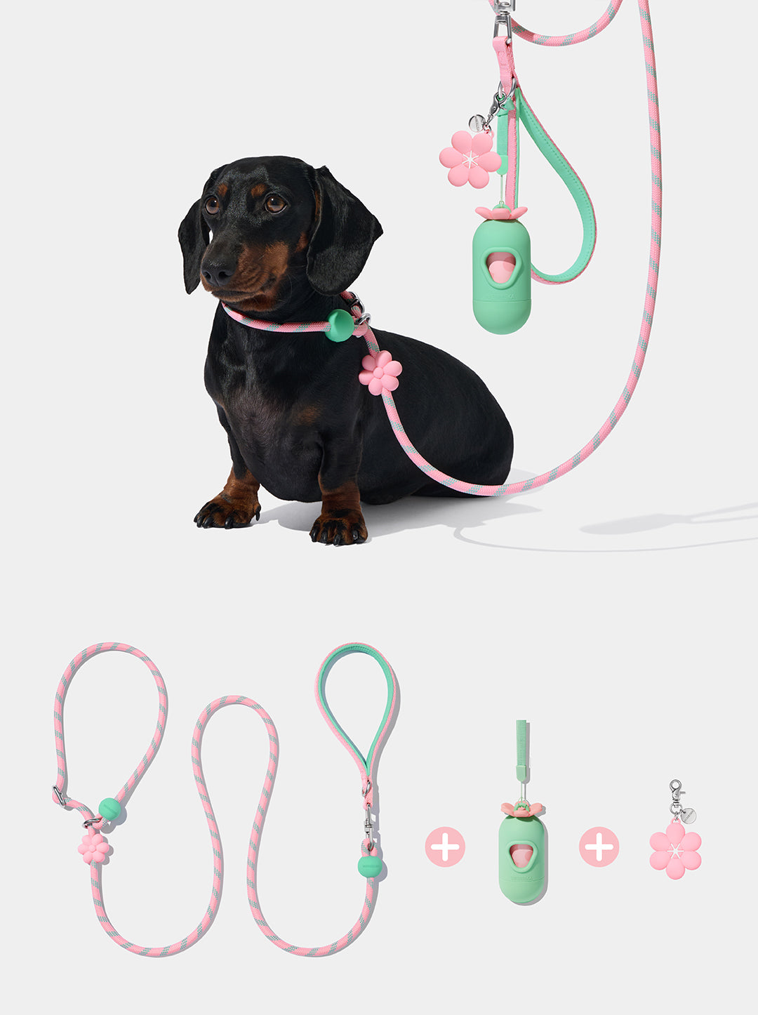 Connect Lite Walk Kit - Flora