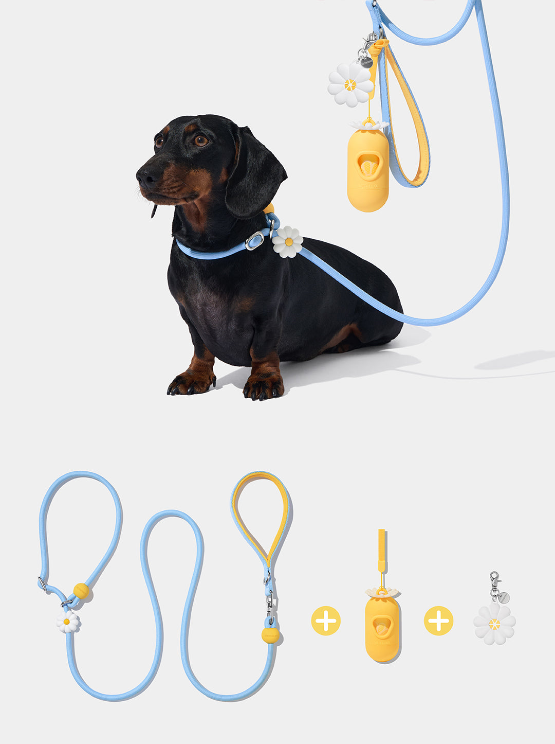 Connect Lite Walk Kit - Daisy