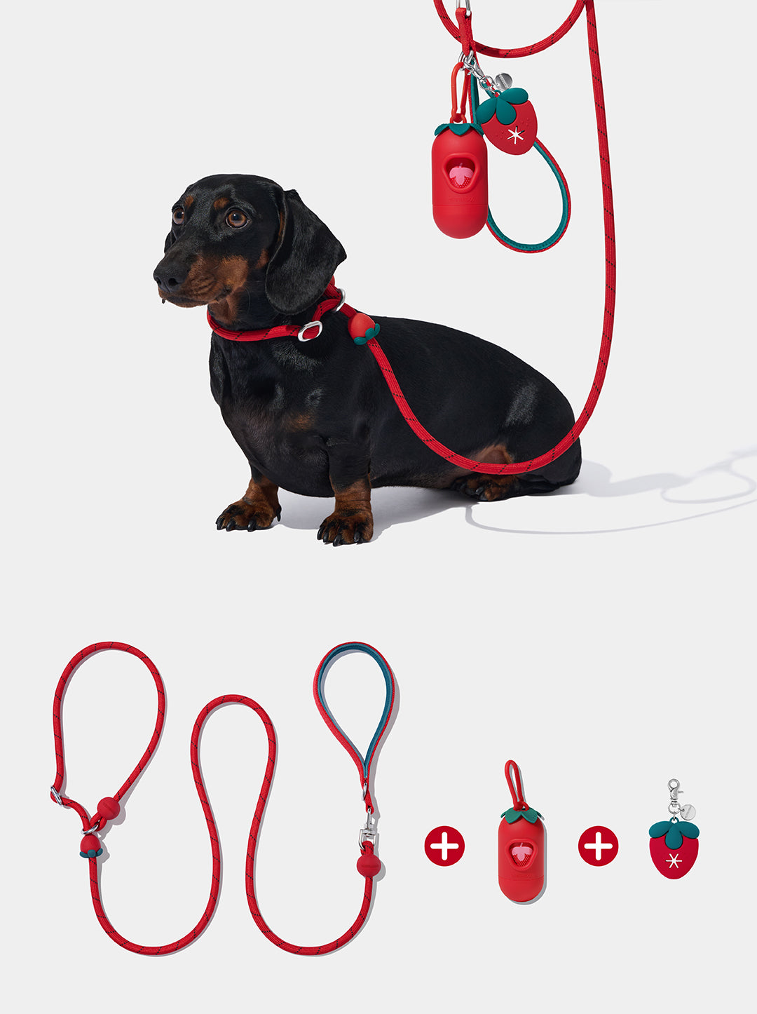 Connect Lite Walk Kit - Strawberry