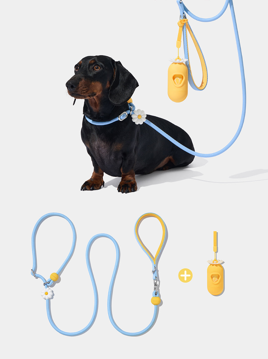 Connect Lite Walk Kit - Daisy