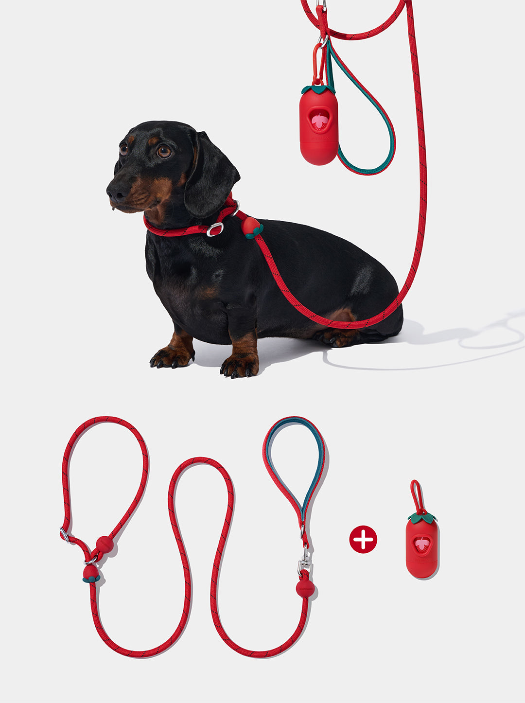 Connect Lite Walk Kit - Strawberry