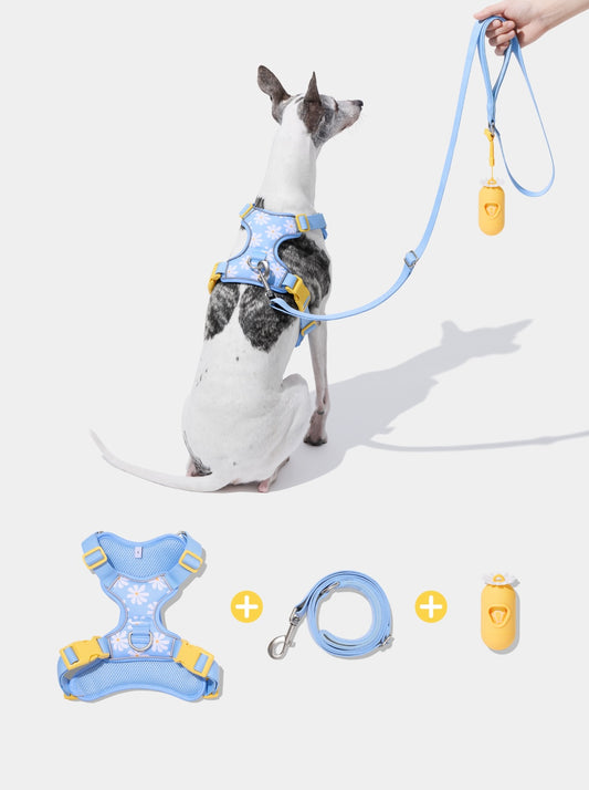 Daisy Pet Walk Kit