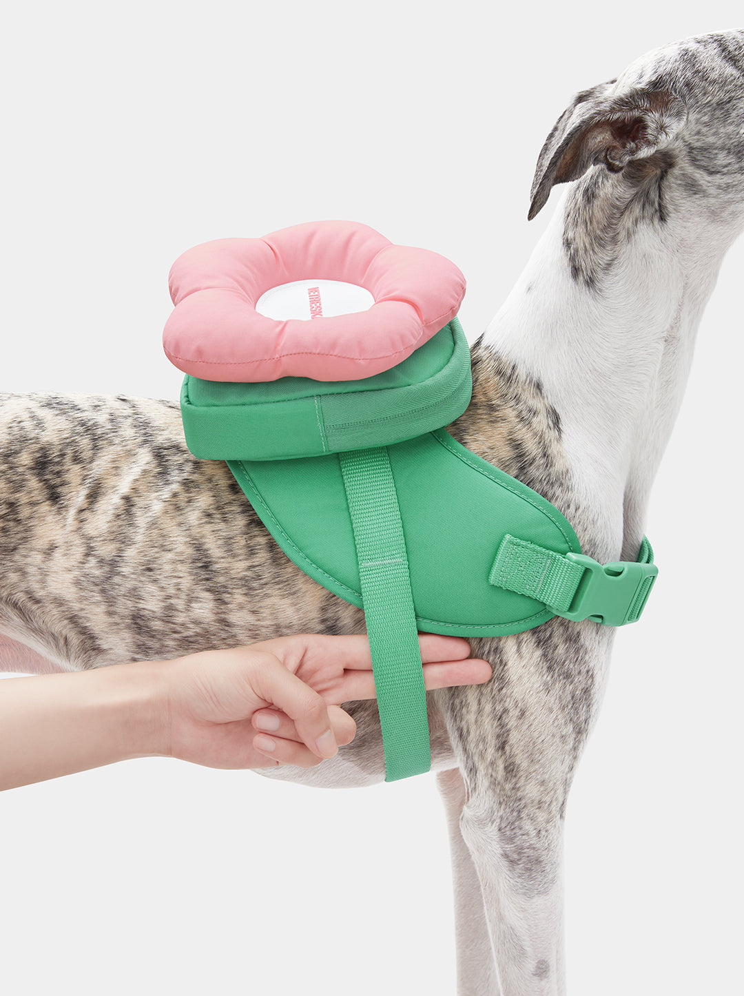 Shop VETRESKA | Flora Pet Harness & Backpack 3 in 1 Set