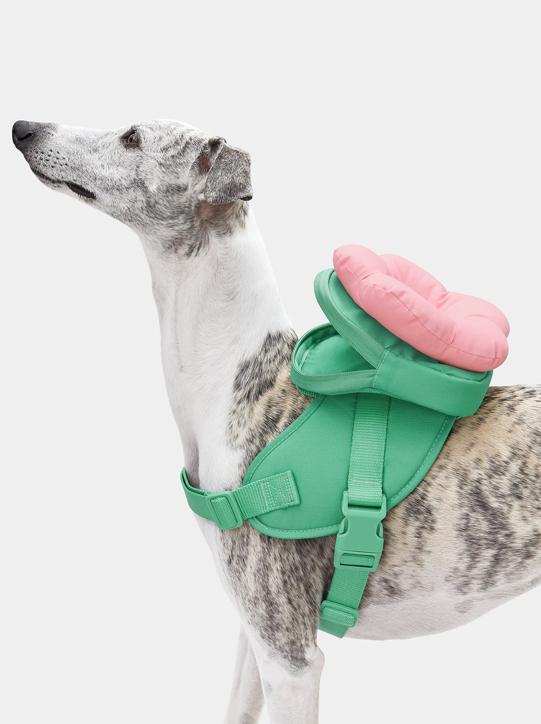 Shop VETRESKA | Flora Pet Walk Kit (Backpack 3 in 1)