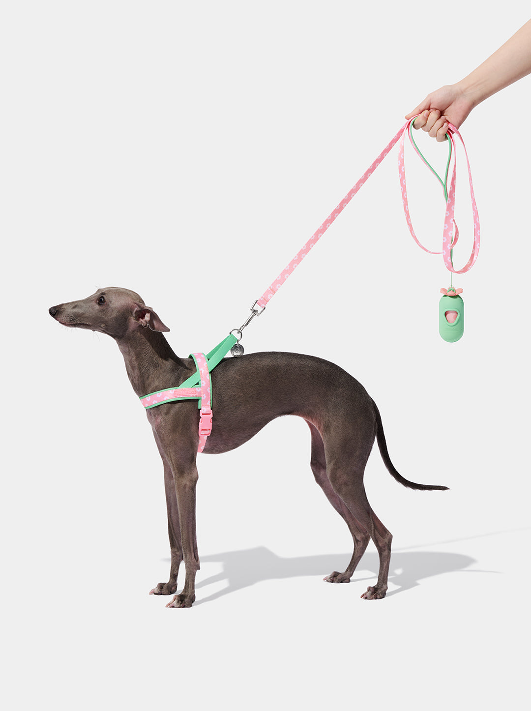 Flora Pet Walk Kit