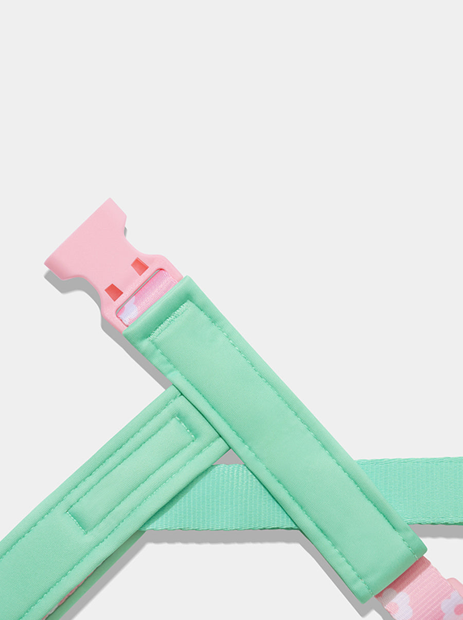 Flora Pet Harness & Leash Set