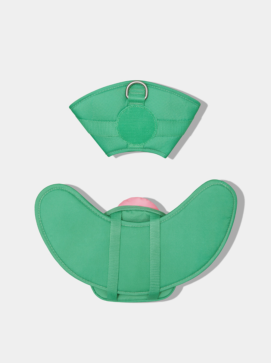Flora Pet Walk Kit