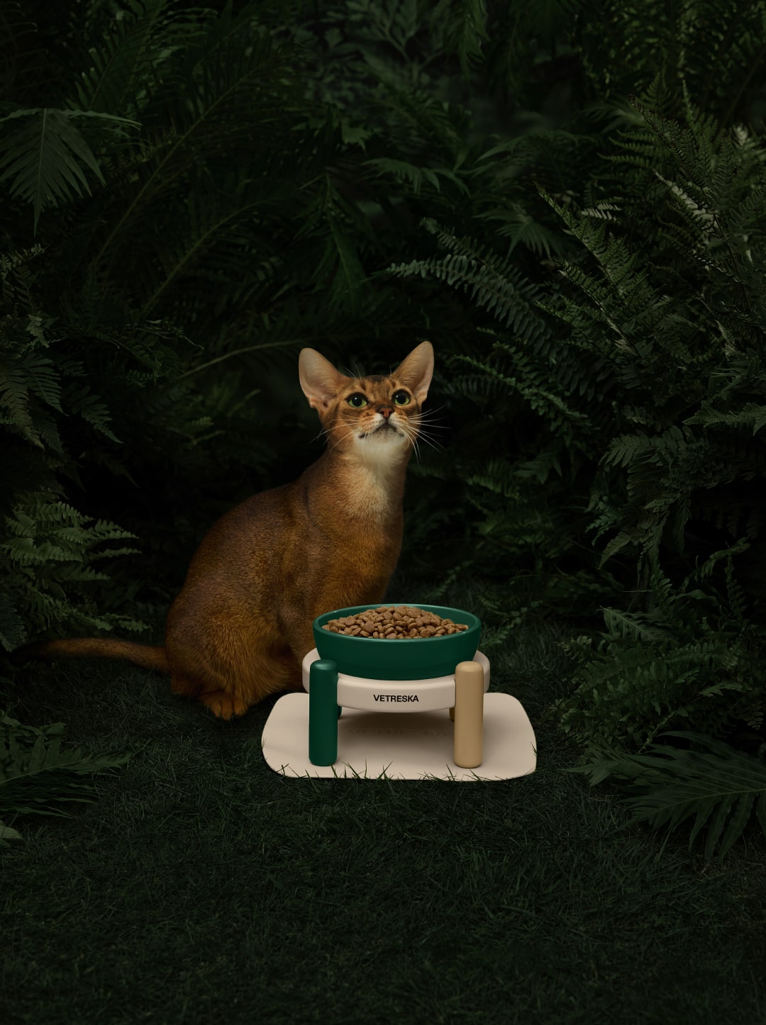 Santal Forest Ceramic Pet Bowl & Mat Set