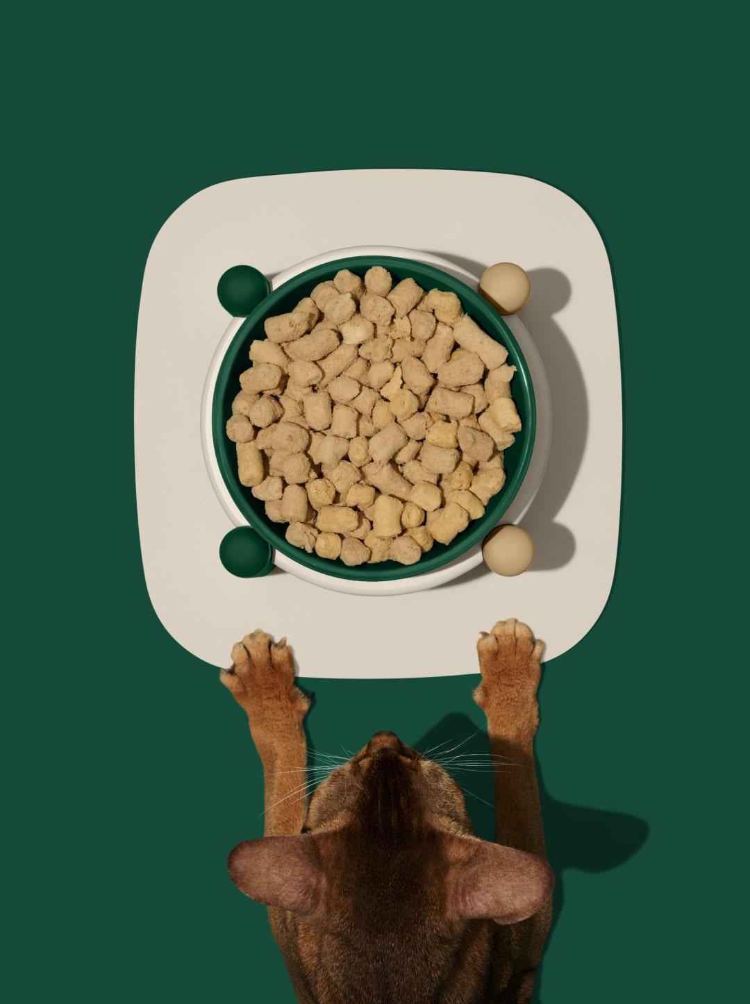 Santal Forest Ceramic Pet Bowl & Mat Set