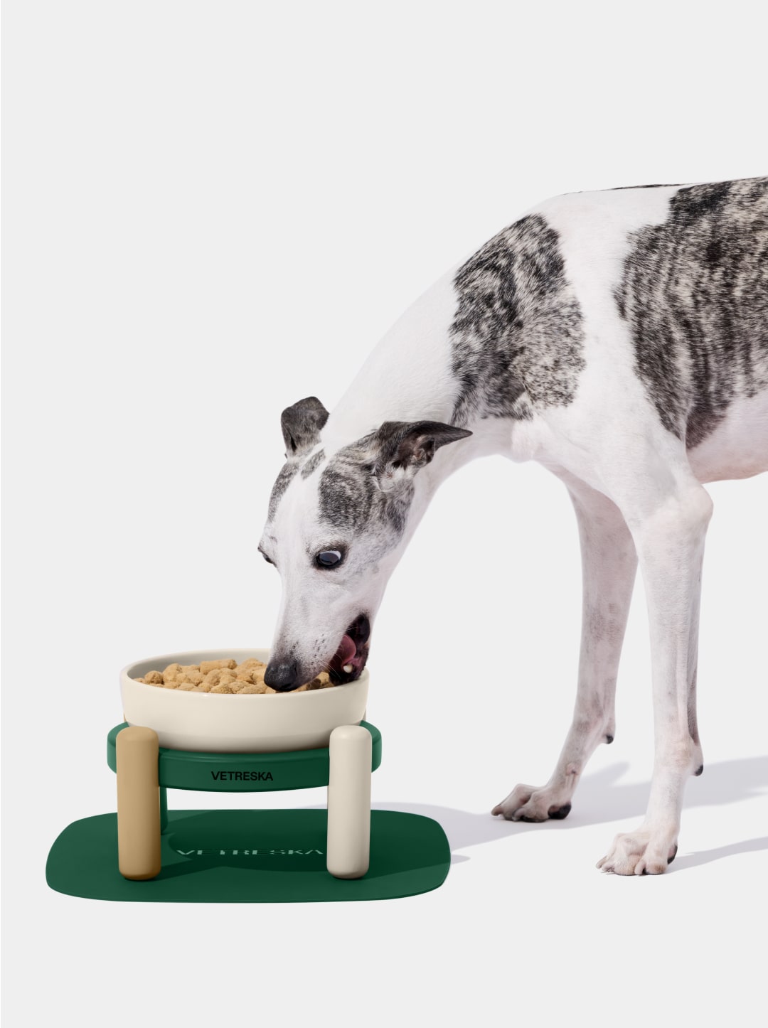 Santal Forest Ceramic Pet Bowl & Mat Set