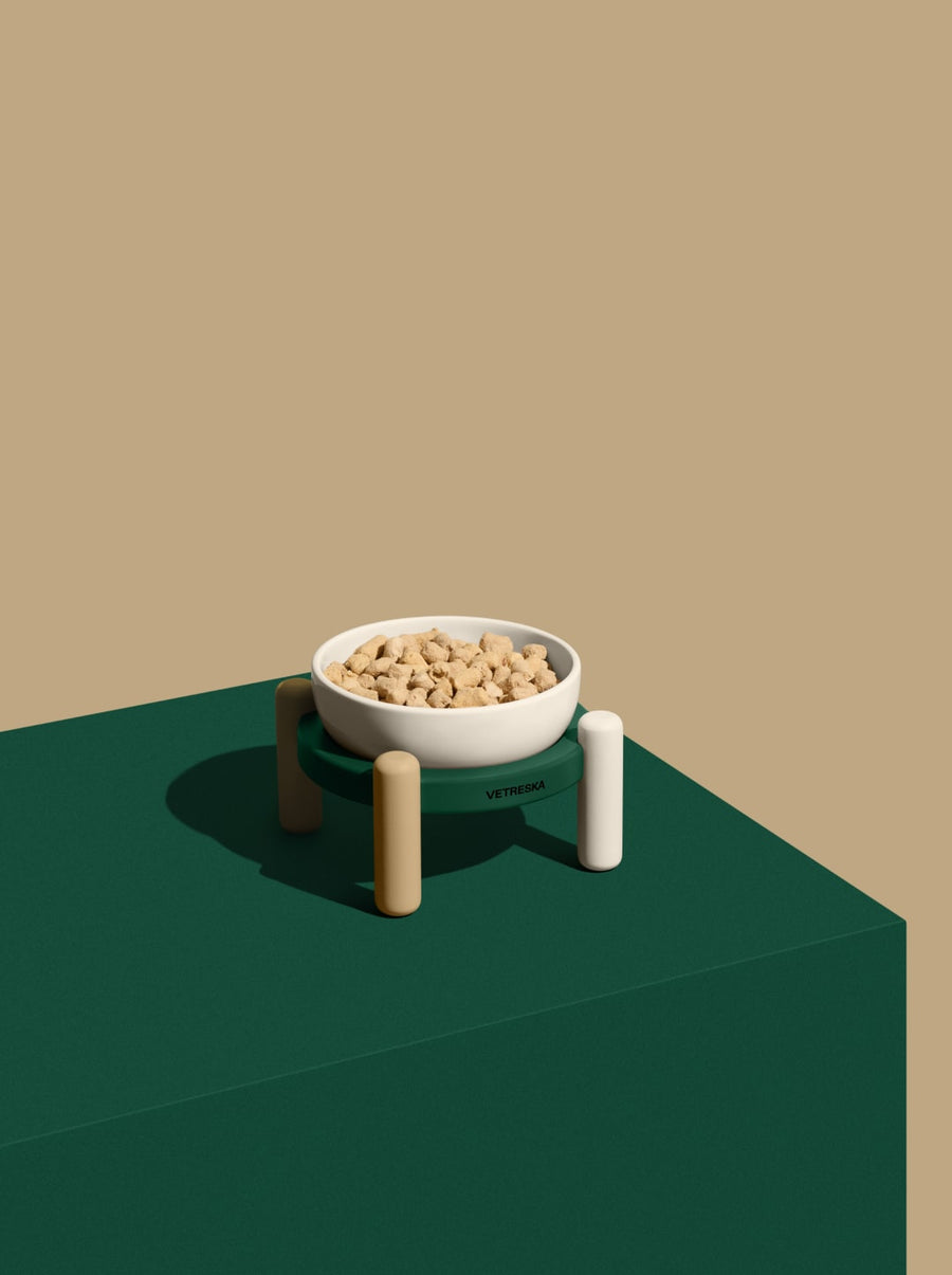 Santal Forest Ceramic Pet Bowl & Mat Set