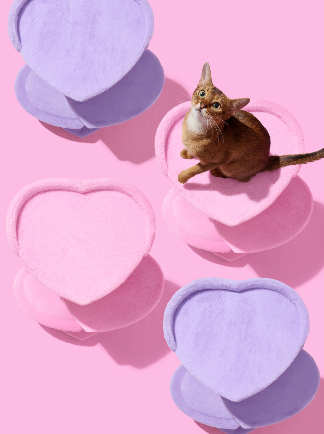 Heartpurrink Cat Climber