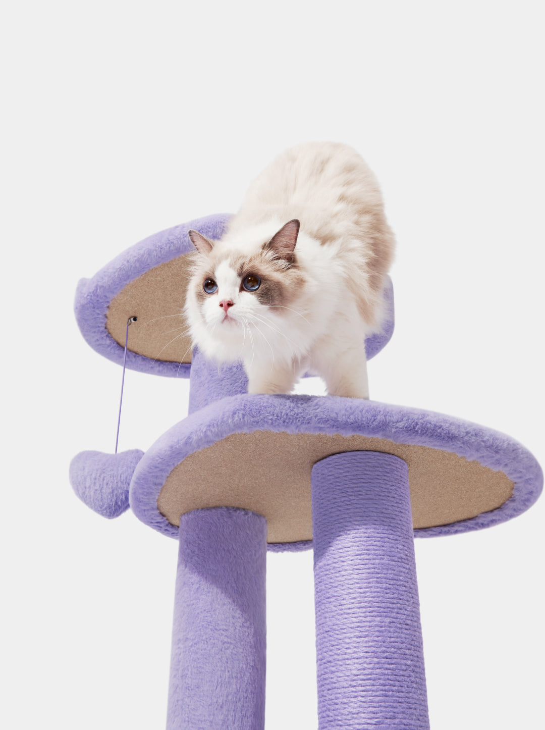 Shop VETRESKA | Heartpurrple Cat Climber (Four Platforms)