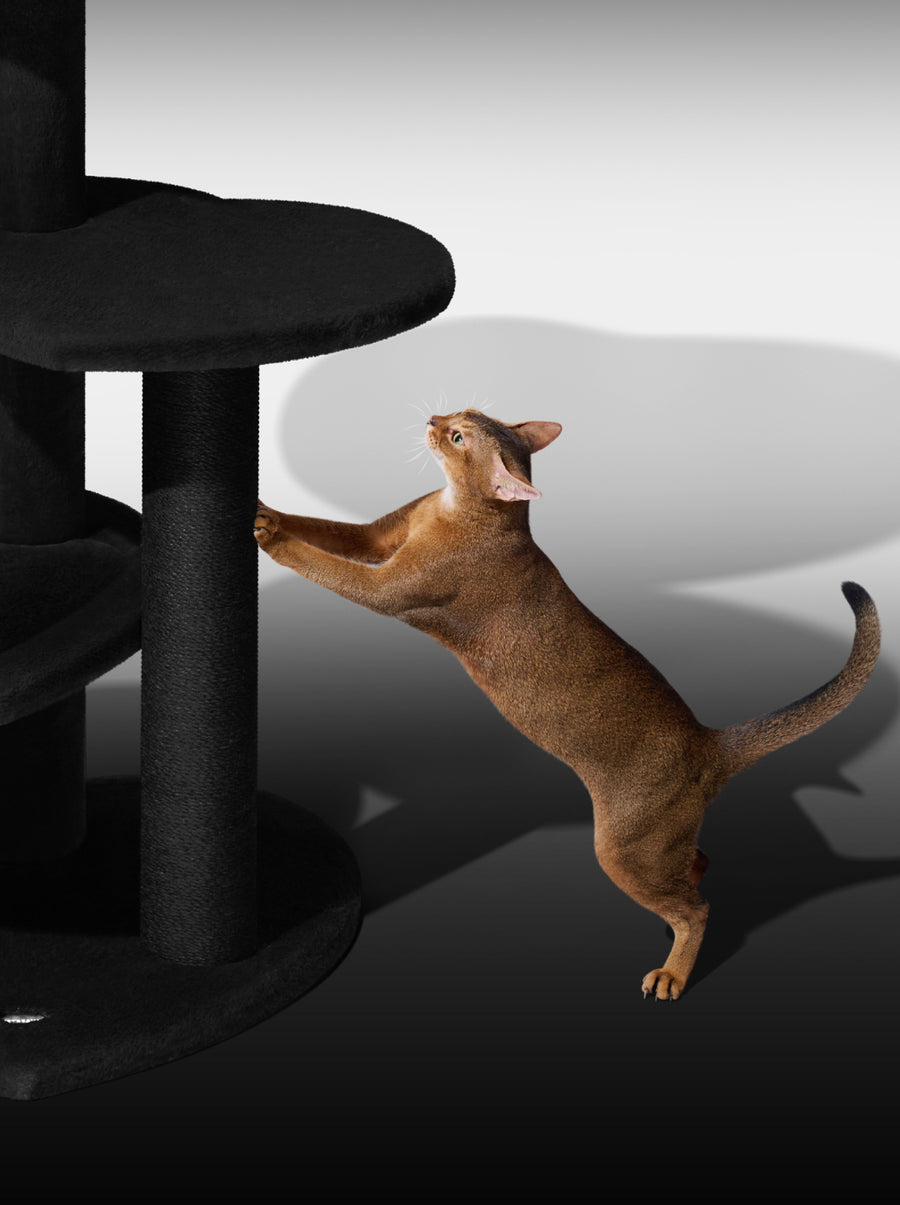 Heartpurrnoir Cat Climber - Four Platforms