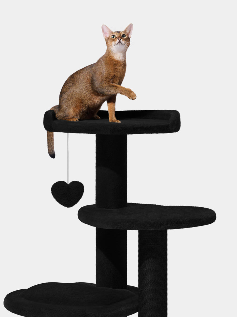Heartpurrnoir Cat Climber - Four Platforms