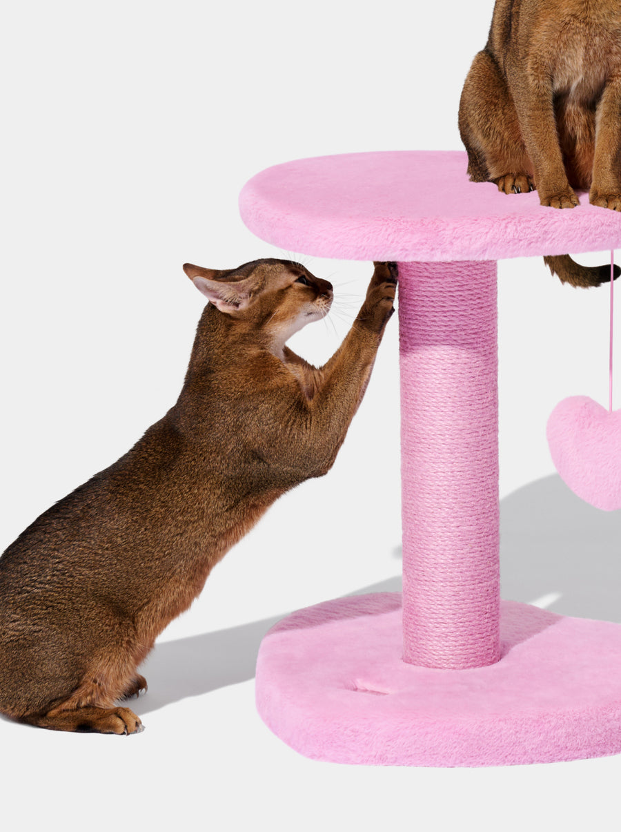 Heartpurrink Cat Climber