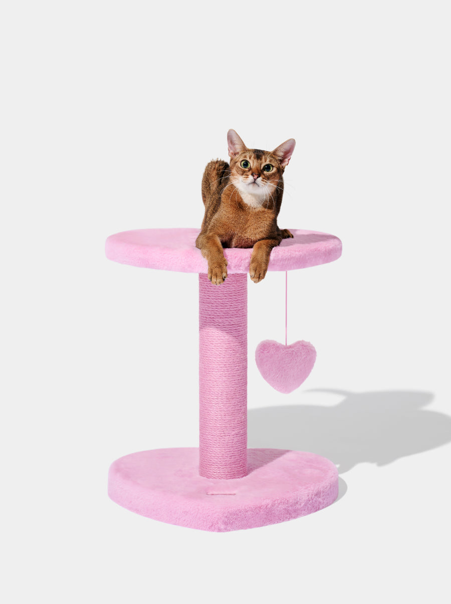 Heartpurrink Cat Climber