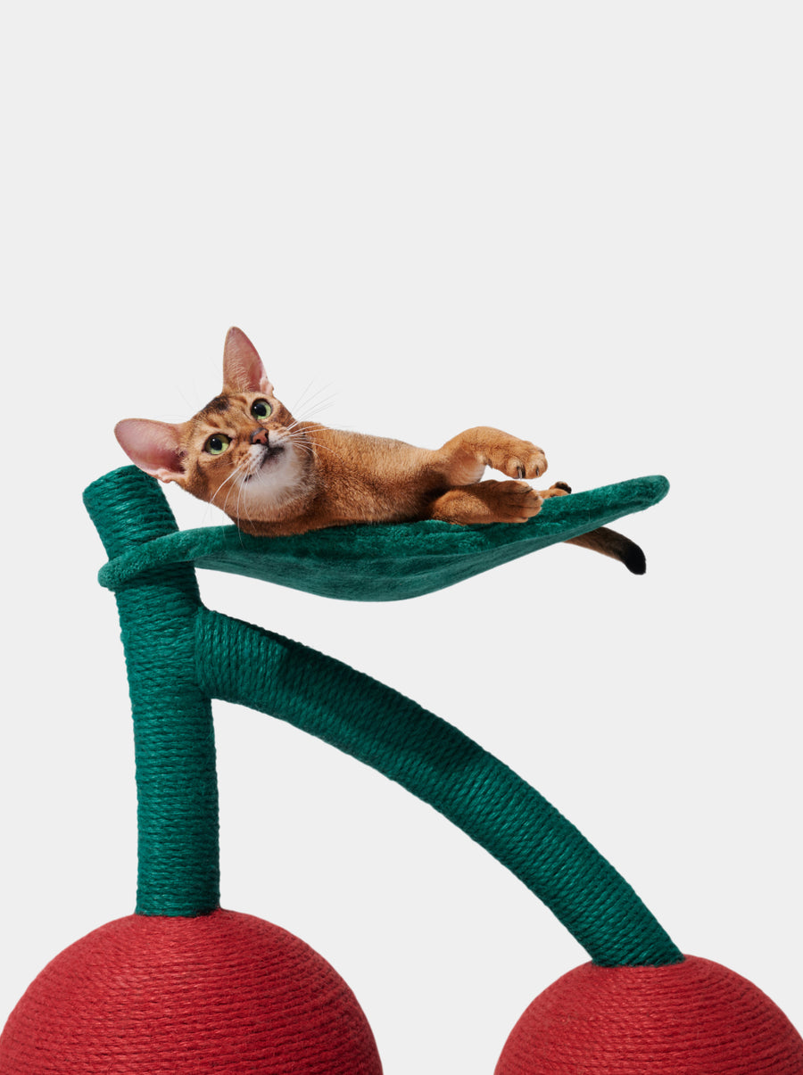 Cherry Cat Tree