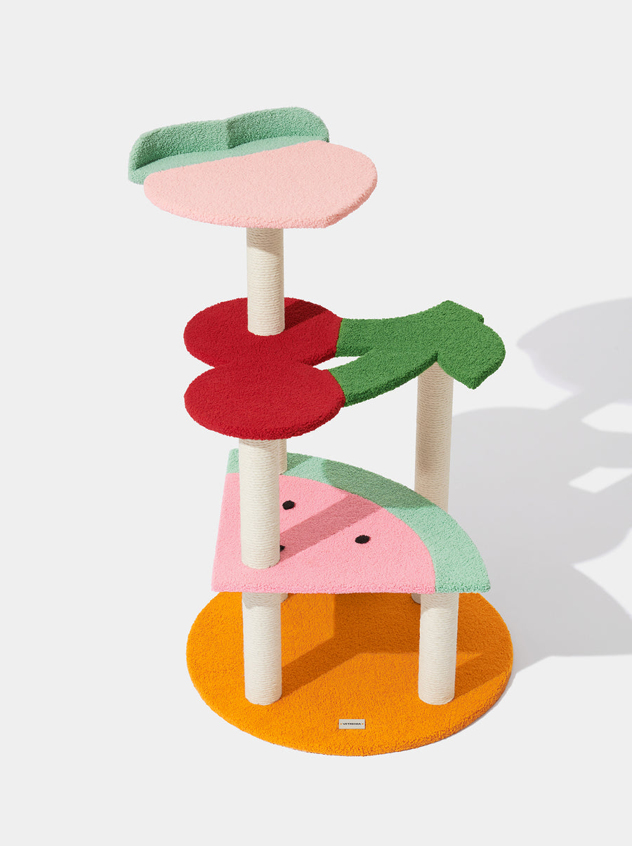Fruit Frenzy Cat Climber