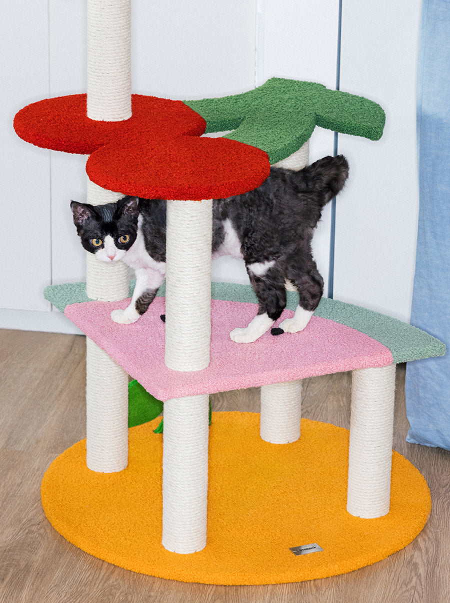 Fruit Frenzy Cat Climber