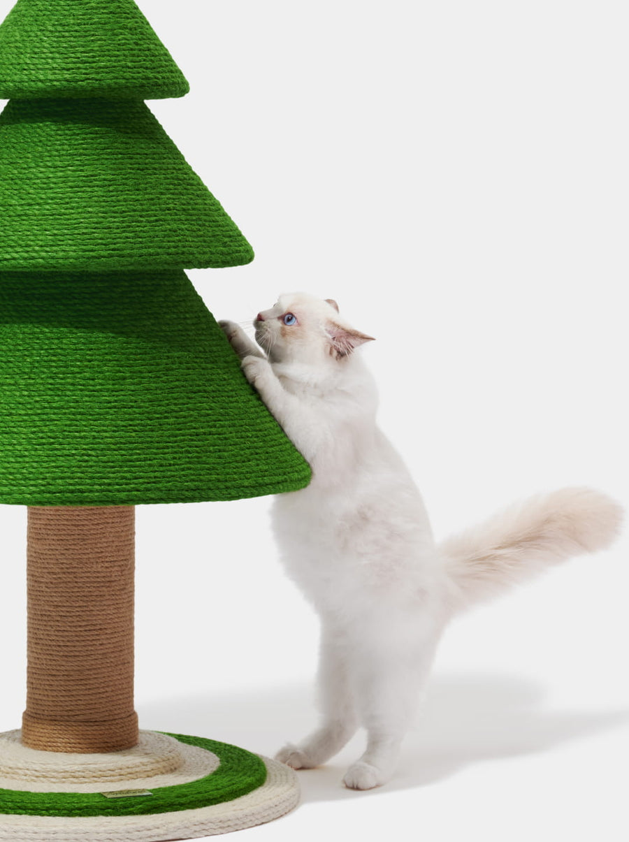 Pine Cat Tree