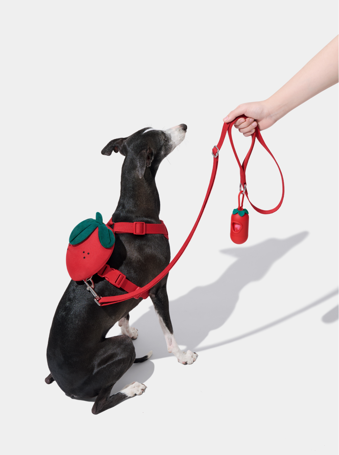 Strawberry Pet Backpack, Harness & Leash Set
