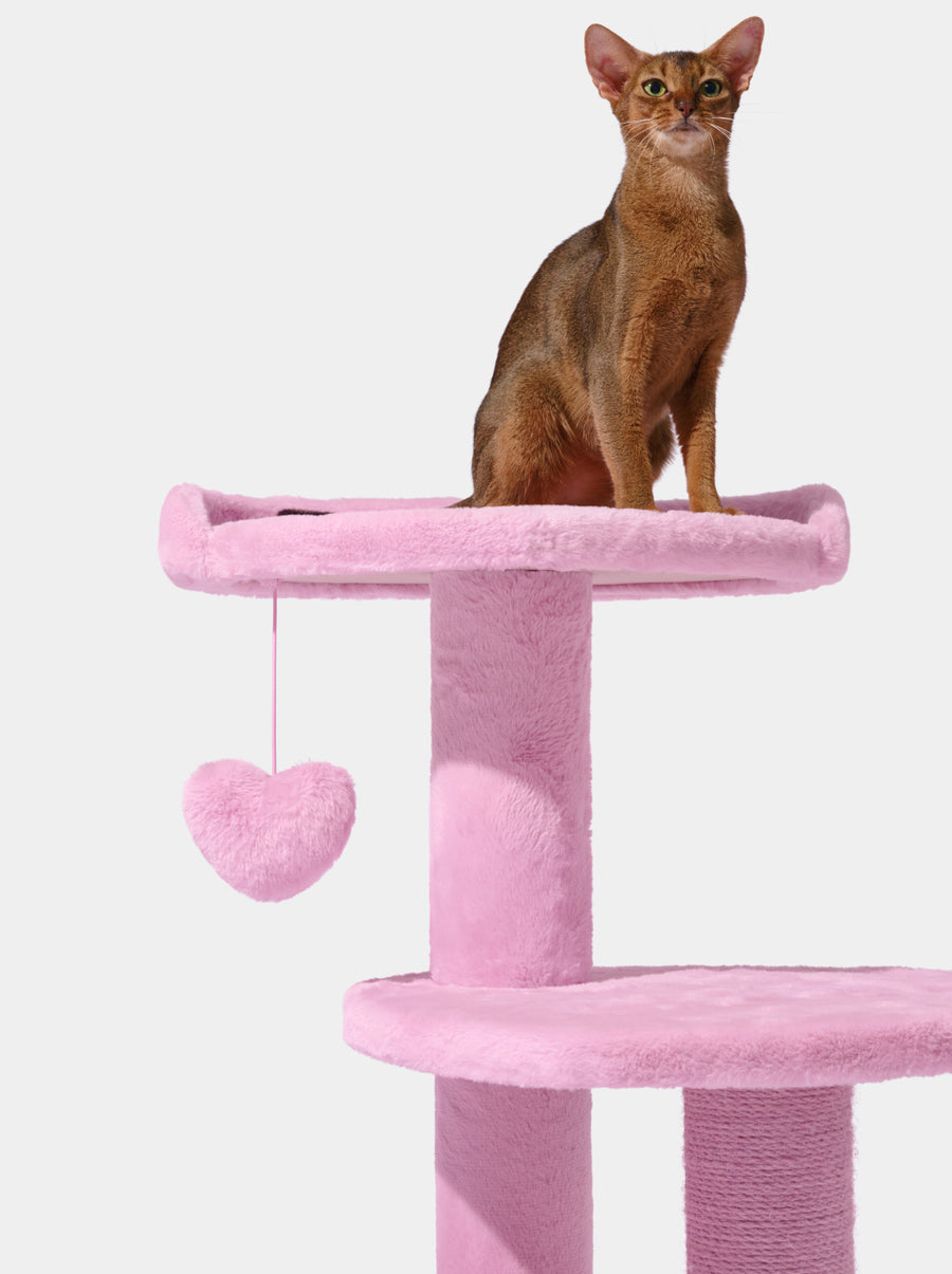 Heartpurrink Cat Climber