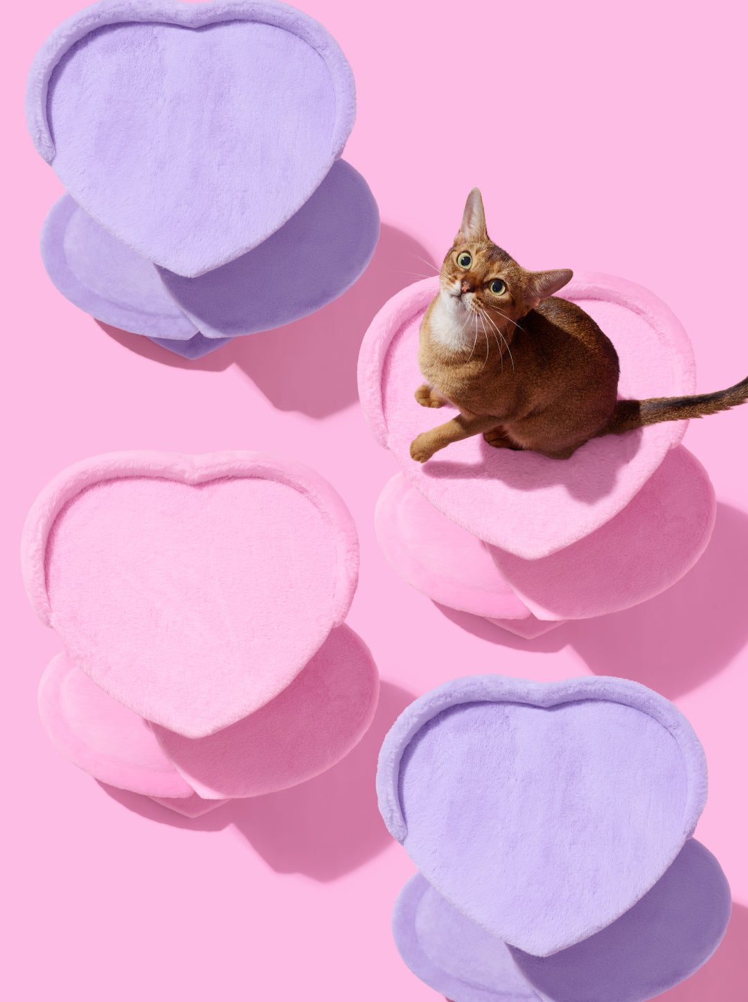 Heartpurrink Cat Climber