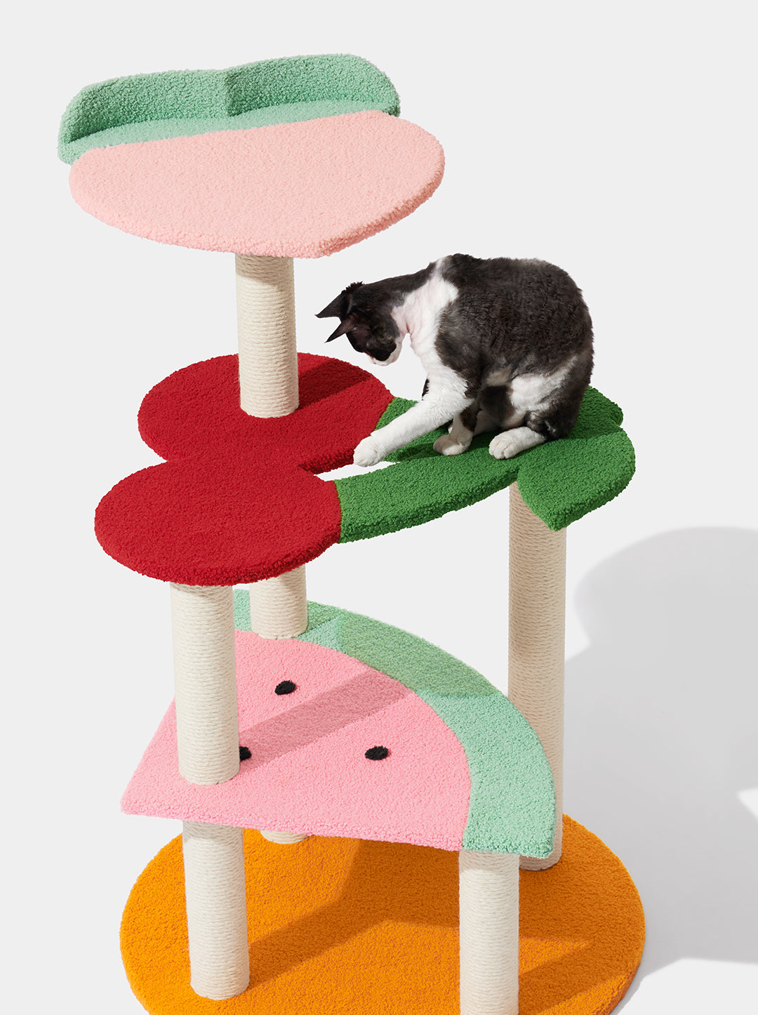 Fruit Frenzy Cat Climber