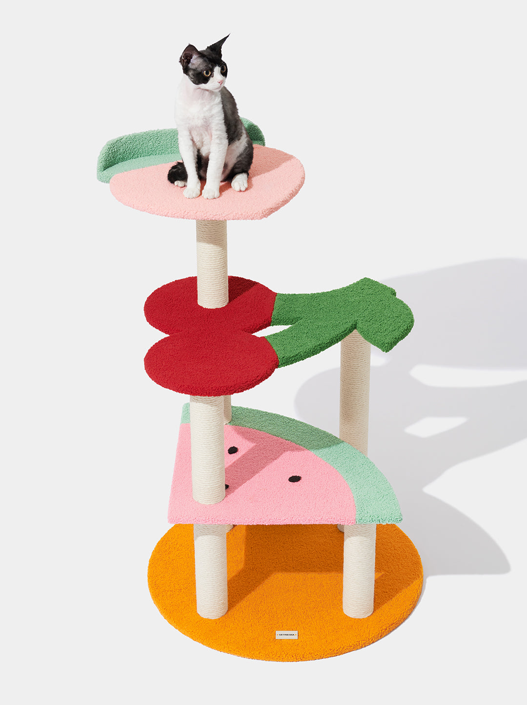 Fruit Frenzy Cat Climber