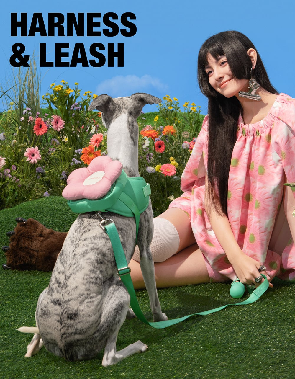 DOG HARNESS LEASH