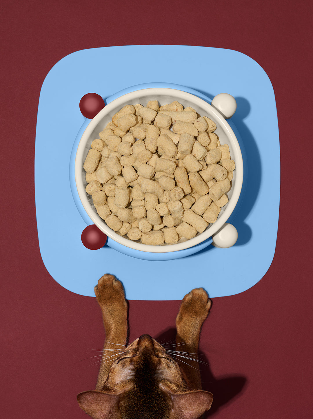 Mist & Merlot Pet Bowl & Mat Set