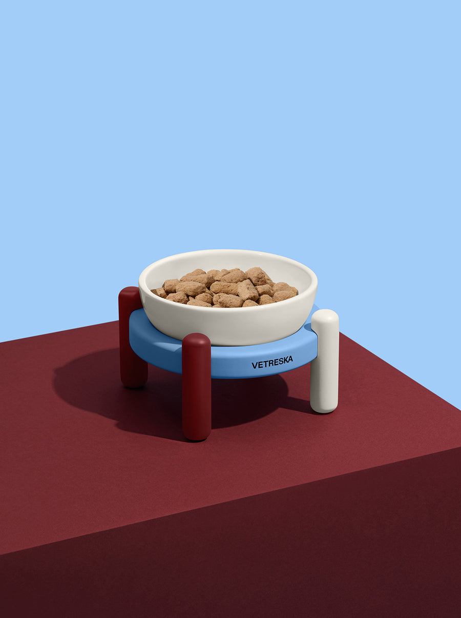 Mist & Merlot Pet Bowl & Mat Set