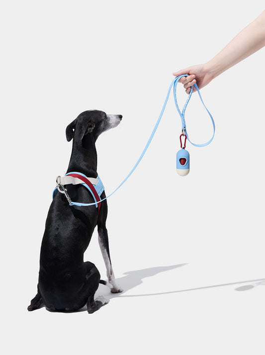 Mist & Merlot Pet Walk Kit