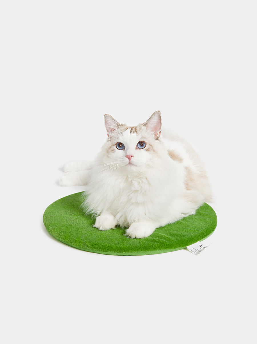 Oasis Cactus Pet Bed
