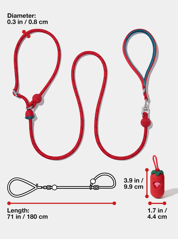 Connect Lite Walk Kit - Strawberry