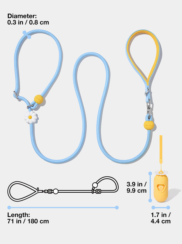 Connect Lite Walk Kit - Daisy