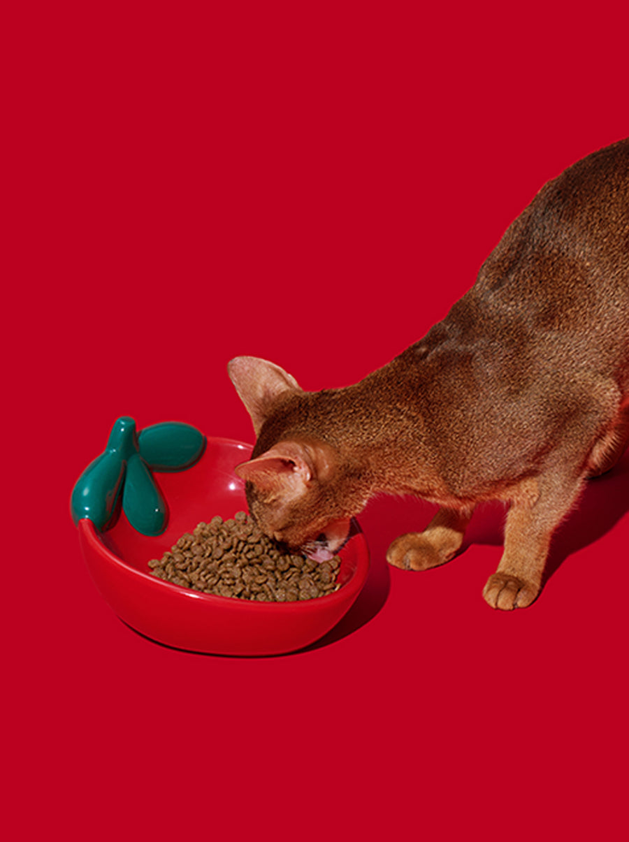 Strawberry Ceramic Pet Bowl