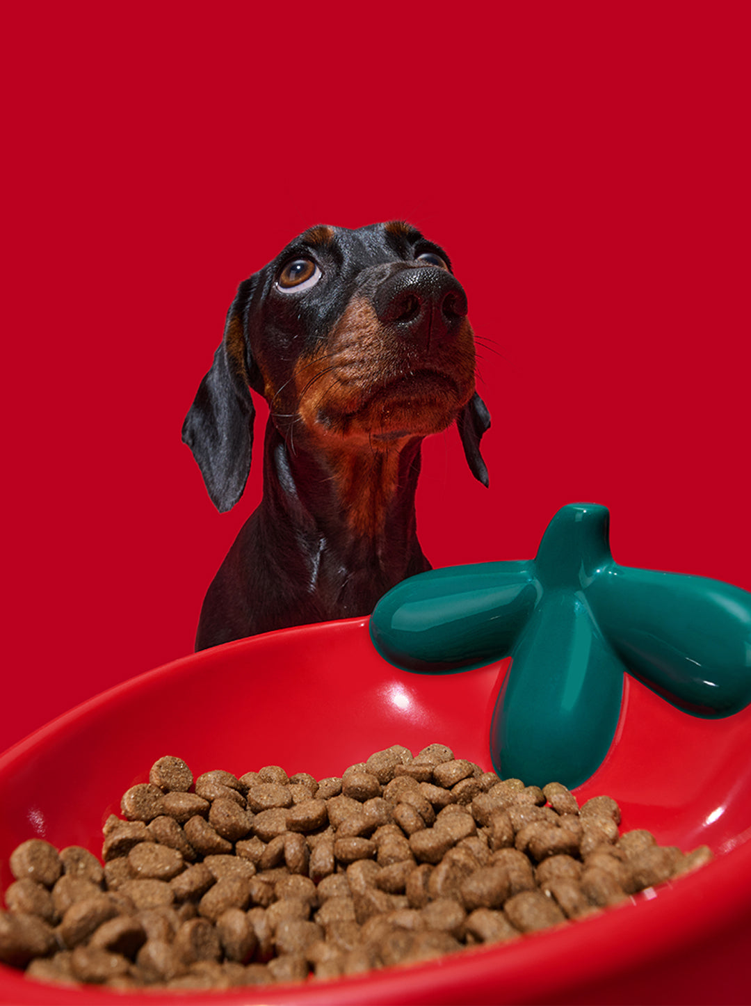 Strawberry Ceramic Pet Bowl