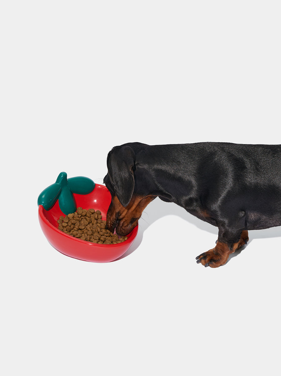 Strawberry Ceramic Pet Bowl