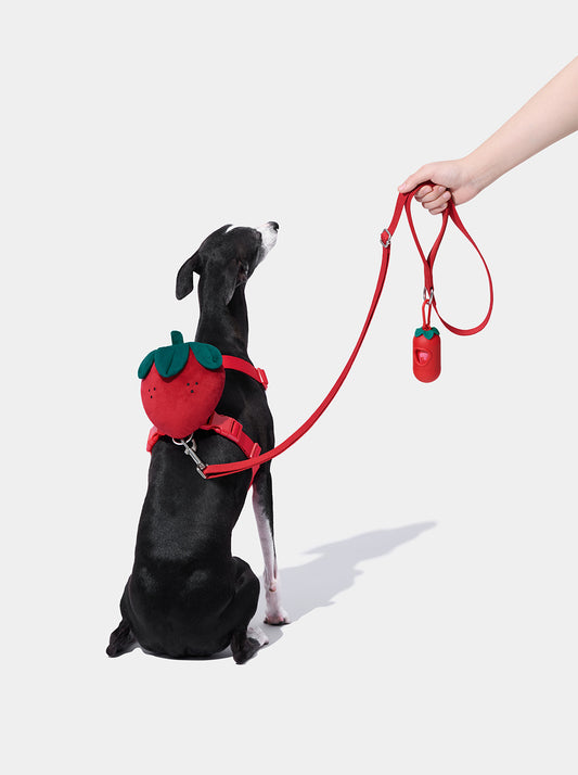 Strawberry Pet Walk Kit