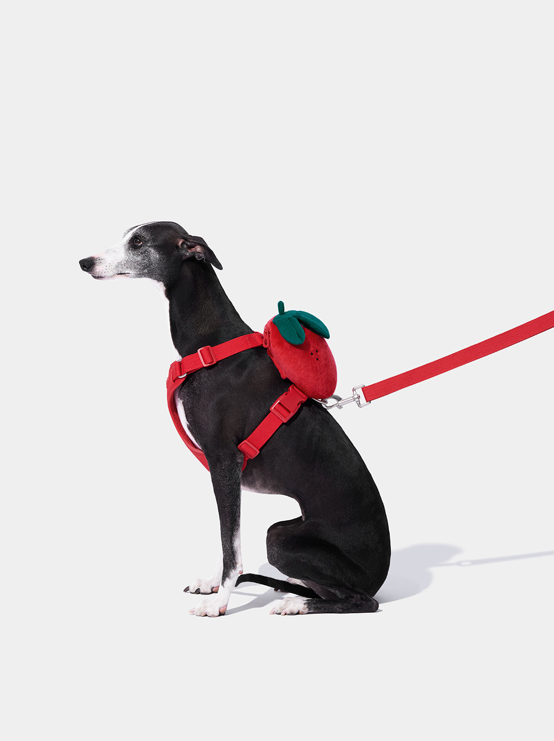 Strawberry Pet Backpack, Harness & Leash Set
