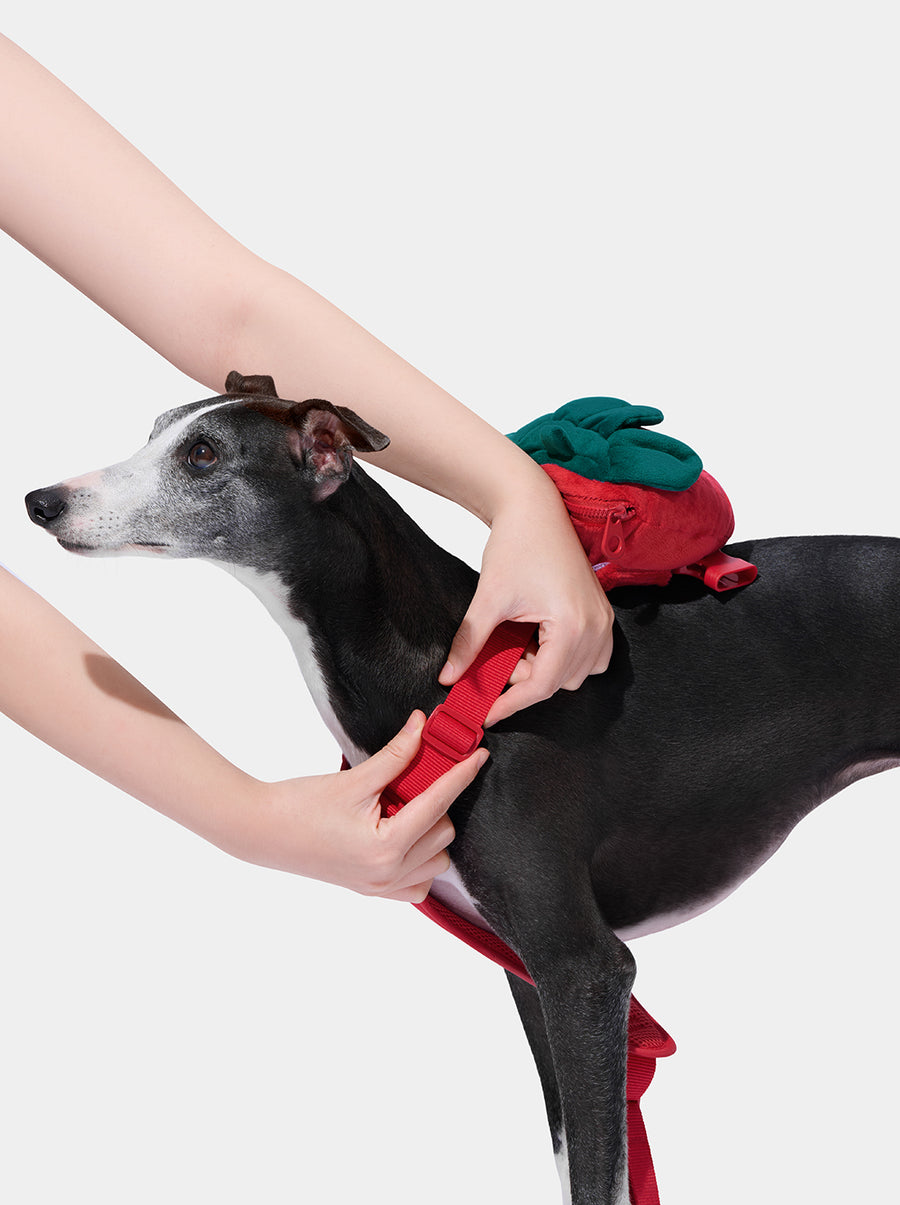 Strawberry Pet Backpack, Harness & Leash Set